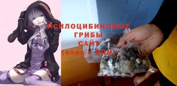 бошки Пересвет
