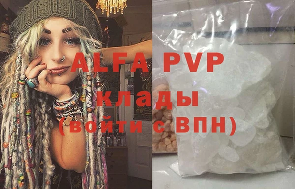 бошки Пересвет