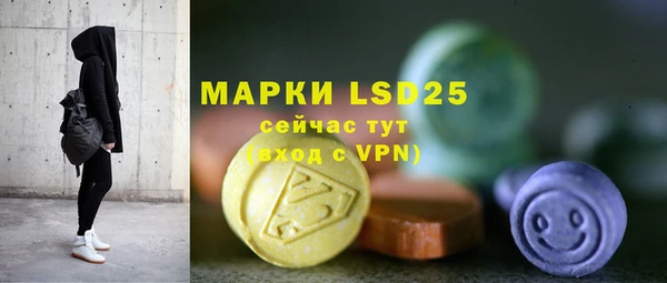 бошки Пересвет
