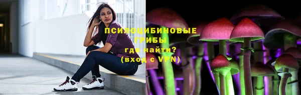 амф Ветлуга