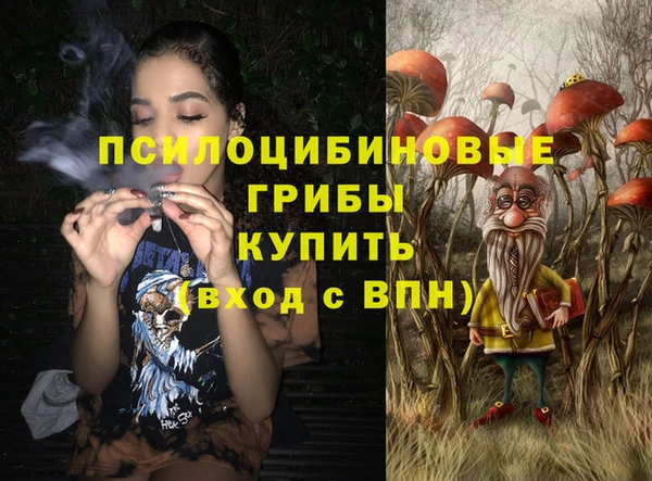 бошки Пересвет