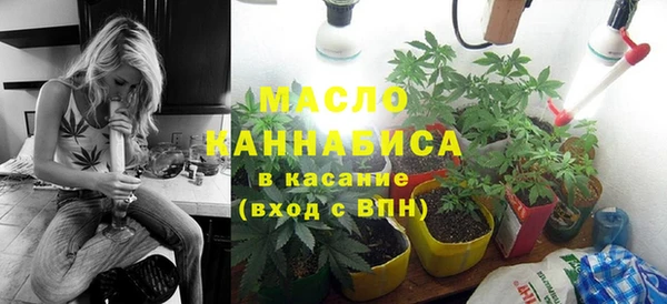 бошки Пересвет