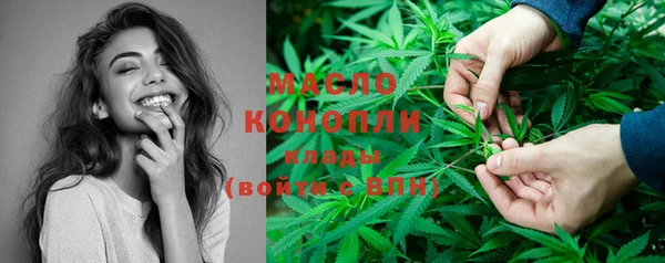 бошки Пересвет