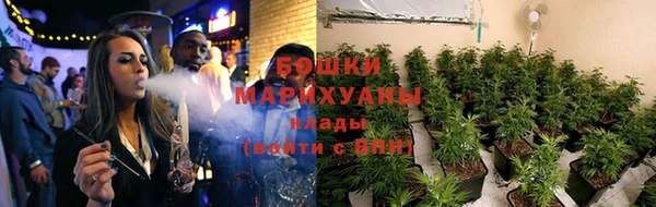 бошки Пересвет