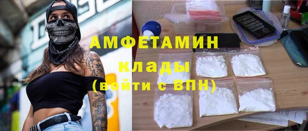 бошки Пересвет